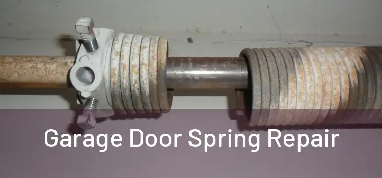  Garage Door Spring Repair 